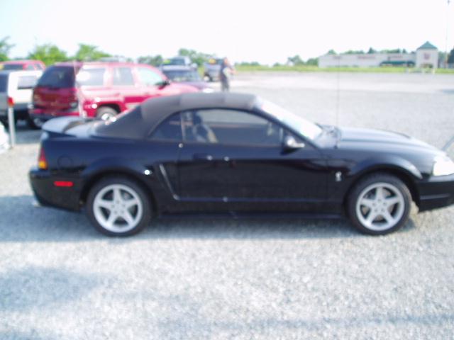 1999 Ford Mustang for sale