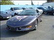 1993 Pontiac Firebird