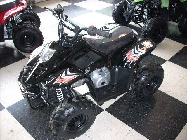 2009 ATV COOLSTER ATV110BK for sale