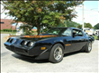 1981 Pontiac Firebird