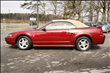 2004 Ford Mustang