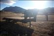 2007 RANGER 600SNECK 25''