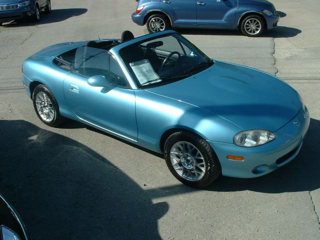 Pic3