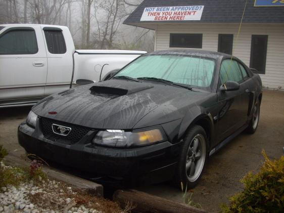 2003 Ford Mustang for sale