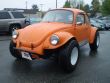 1973 Volkswagen Beetle