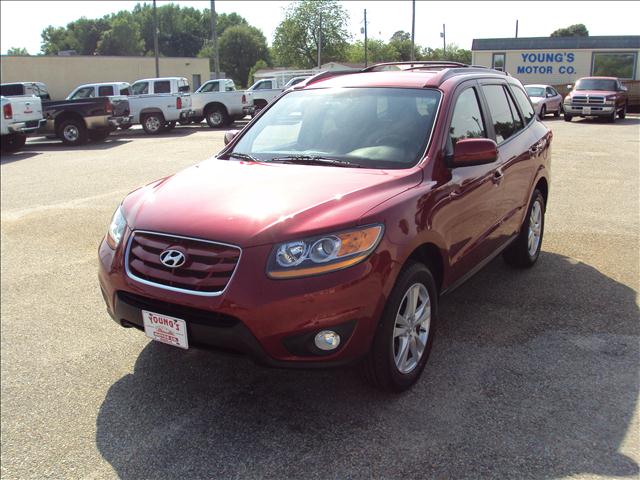2010 Hyundai Santa Fe for sale