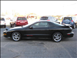 1995 Pontiac Firebird