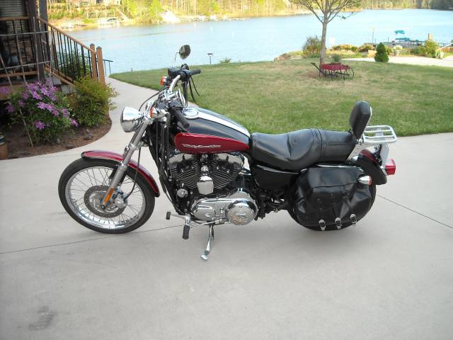 2005 HARLEY DAVIDSON XL1200c SPORTSTER for sale