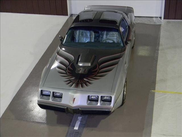 1979 Pontiac Trans Am for sale