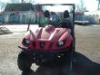 2009 Yamaha Rhino
