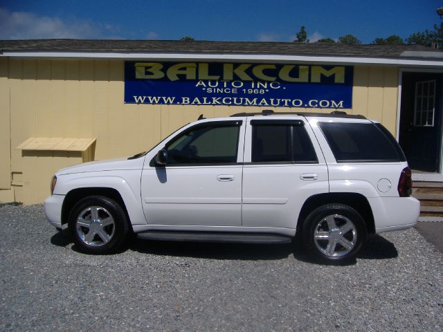 2008 Chevrolet TrailBlazer