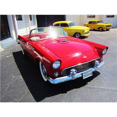 1955 ford thunderbird for sale