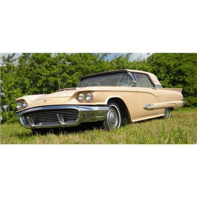 1959 ford thunderbird for sale