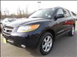 2009 Hyundai Santa Fe