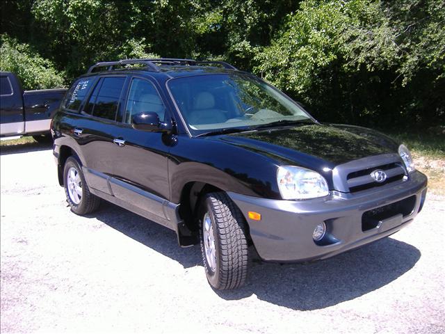 2005 Hyundai Santa Fe for sale