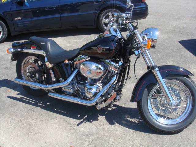 2000 HARLEY DAVIDSON FXST    for sale