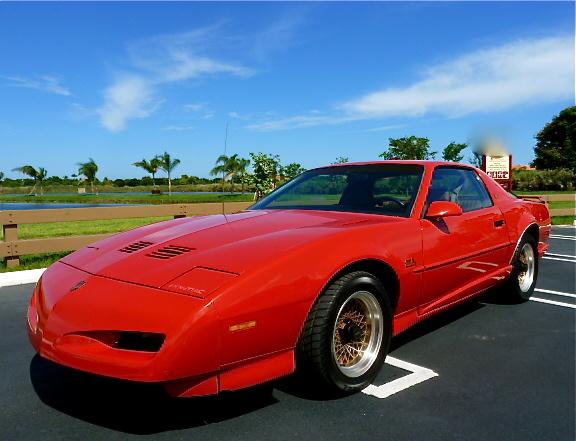 1991 Pontiac Firebird for sale