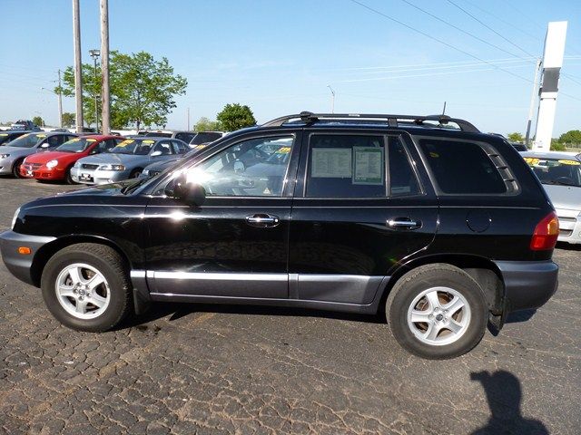 2004 Hyundai Santa Fe for sale
