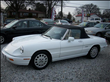 1991 Alfa Romeo Spider