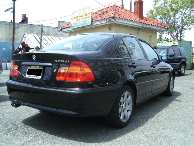 Pic3