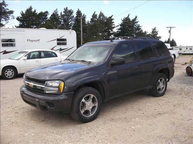 2007 Chevrolet TrailBlazer for sale
