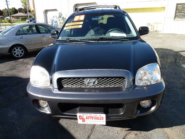 2004 Hyundai Santa Fe