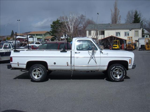 1975 Chevrolet C20 for sale