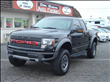 2010 Ford F150