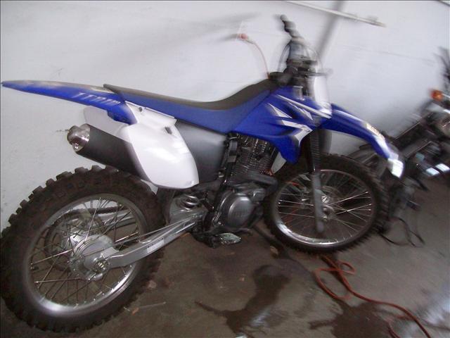 2008 Yamaha tt230