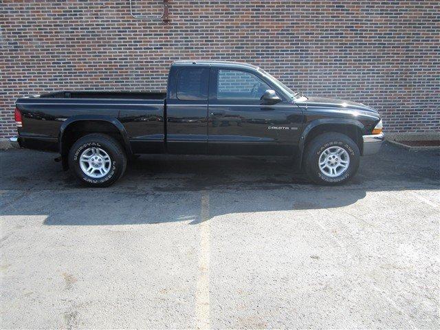 2001 Dodge Dakota for sale