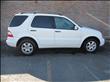 2002 Mercedes-Benz M Class