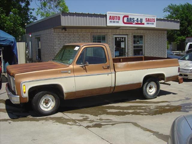 1980 CHEVROLET SCOTTSDALE 10 for sale
