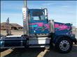 2005 Western Star 4900 FA