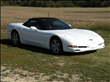 1998 Chevrolet Corvette