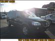 2006 Pontiac Montana SV6
